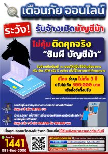 เตือนภัยแนวตั้ง_8